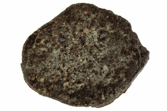 Polished Gold Basin Chondrite Meteorite Slice ( g) - Arizona #329356